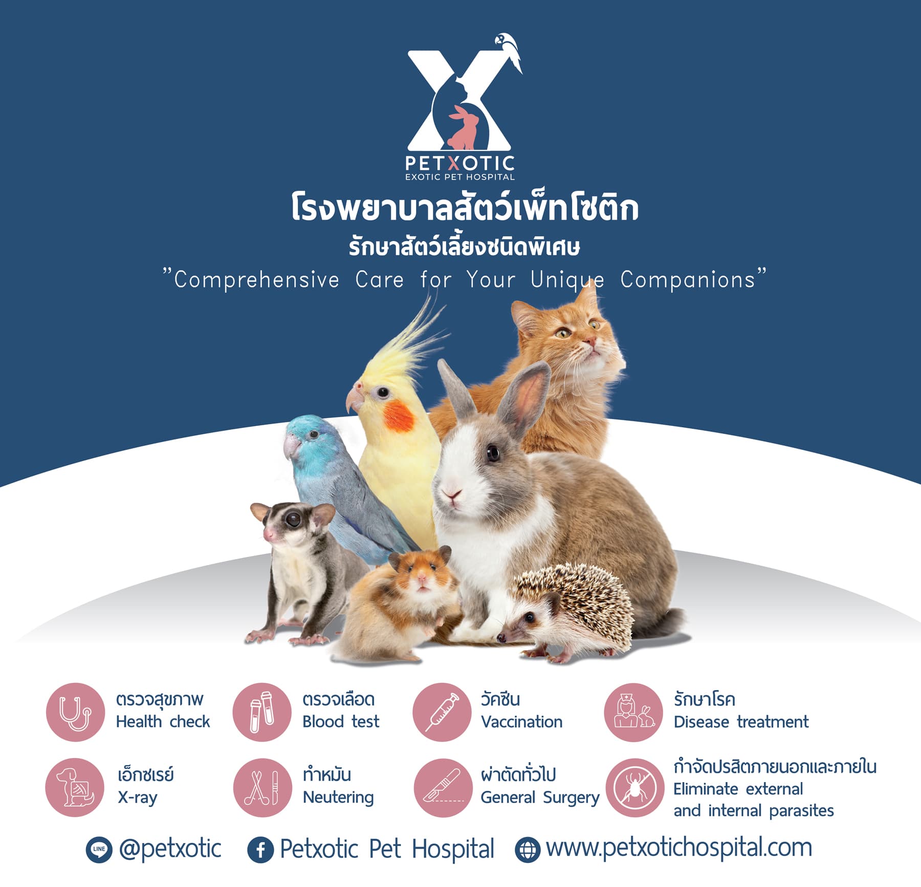 Petxotic Pet Hospital